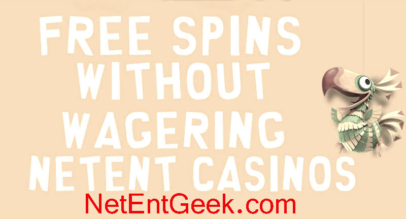 Welcome Bonus from NetEnt Casinos 